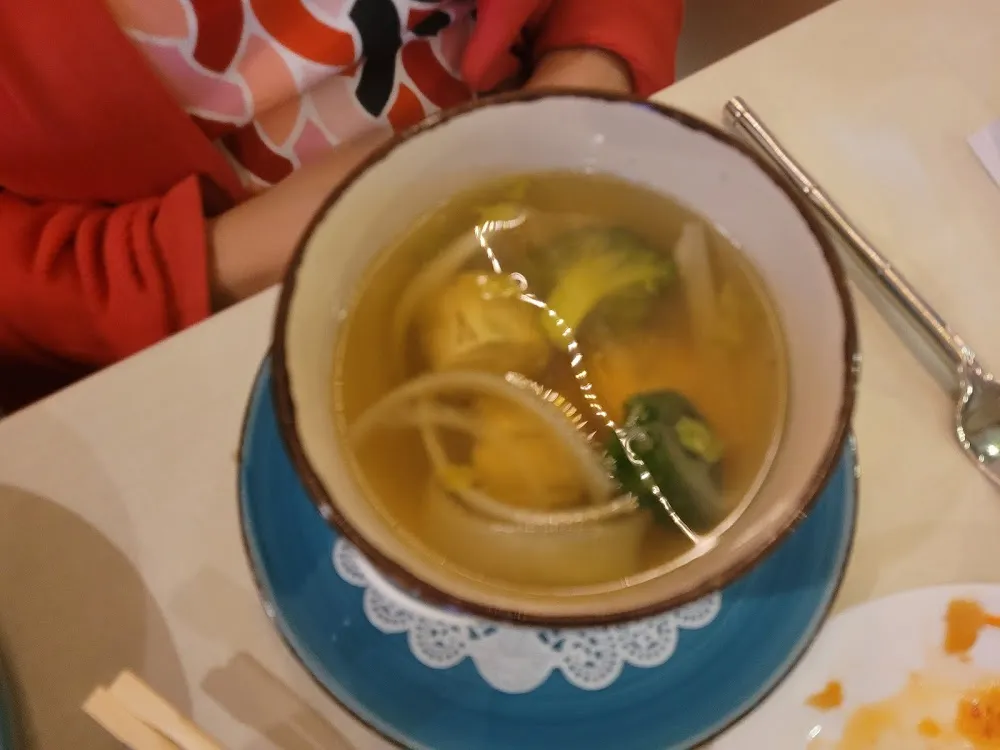 Shrimp Wonton Soup